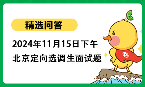 2024年11月15日下午北京定向选调生面试题