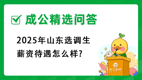 2025年山东选调生薪资待遇怎么样?